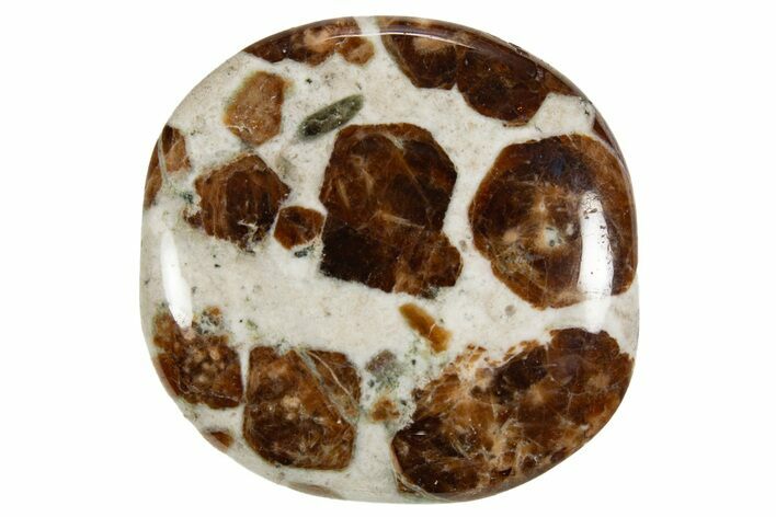 Polished Garnet In Wollastonite Stone - Namibia #343972